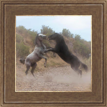 Load image into Gallery viewer, Fight In The Wash