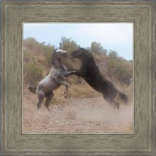 Load image into Gallery viewer, Fight In The Wash