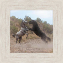 Load image into Gallery viewer, Fight In The Wash