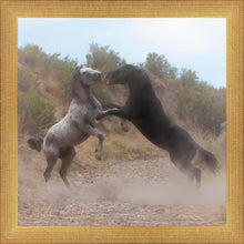 Load image into Gallery viewer, Fight In The Wash
