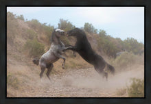 Load image into Gallery viewer, Fight In The Wash