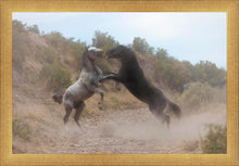 Load image into Gallery viewer, Fight In The Wash