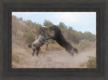 Load image into Gallery viewer, Fight In The Wash