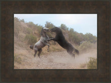 Load image into Gallery viewer, Fight In The Wash