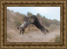Load image into Gallery viewer, Fight In The Wash