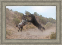 Load image into Gallery viewer, Fight In The Wash