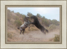 Load image into Gallery viewer, Fight In The Wash