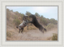 Load image into Gallery viewer, Fight In The Wash