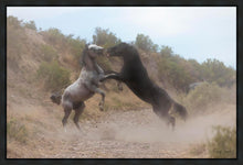 Load image into Gallery viewer, Fight In The Wash