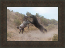 Load image into Gallery viewer, Fight In The Wash