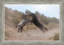 Load image into Gallery viewer, Fight In The Wash