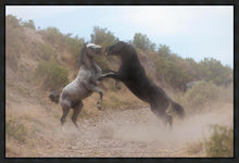 Load image into Gallery viewer, Fight In The Wash