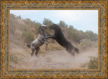 Load image into Gallery viewer, Fight In The Wash