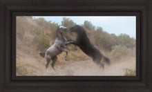 Load image into Gallery viewer, Fight In The Wash