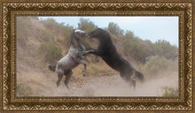 Load image into Gallery viewer, Fight In The Wash