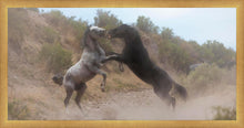 Load image into Gallery viewer, Fight In The Wash