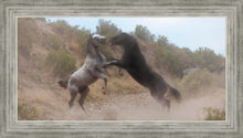 Load image into Gallery viewer, Fight In The Wash