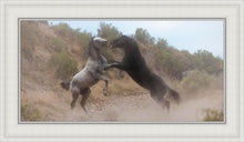 Load image into Gallery viewer, Fight In The Wash