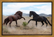 Load image into Gallery viewer, War Dance