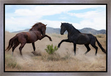 Load image into Gallery viewer, War Dance