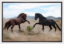 Load image into Gallery viewer, War Dance