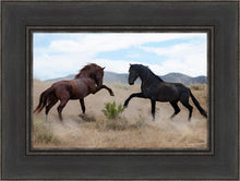 Load image into Gallery viewer, War Dance