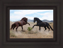 Load image into Gallery viewer, War Dance