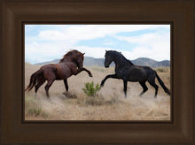 Load image into Gallery viewer, War Dance