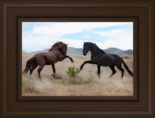 Load image into Gallery viewer, War Dance