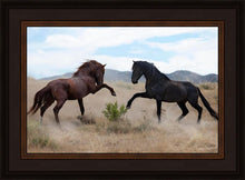Load image into Gallery viewer, War Dance