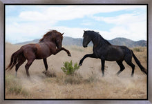 Load image into Gallery viewer, War Dance
