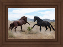 Load image into Gallery viewer, War Dance