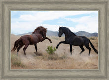 Load image into Gallery viewer, War Dance