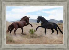 Load image into Gallery viewer, War Dance