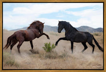 Load image into Gallery viewer, War Dance