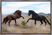 Load image into Gallery viewer, War Dance