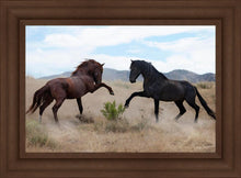 Load image into Gallery viewer, War Dance