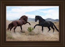 Load image into Gallery viewer, War Dance