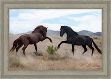 Load image into Gallery viewer, War Dance