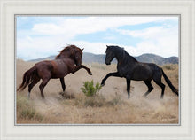 Load image into Gallery viewer, War Dance