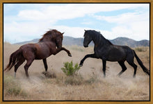 Load image into Gallery viewer, War Dance