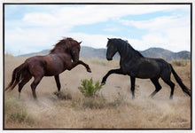 Load image into Gallery viewer, War Dance