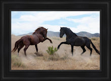 Load image into Gallery viewer, War Dance