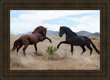 Load image into Gallery viewer, War Dance