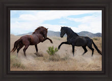 Load image into Gallery viewer, War Dance