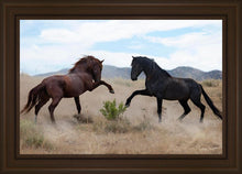 Load image into Gallery viewer, War Dance