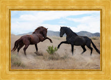 Load image into Gallery viewer, War Dance