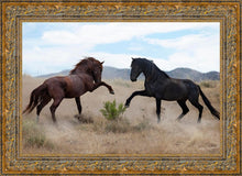 Load image into Gallery viewer, War Dance
