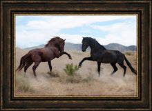 Load image into Gallery viewer, War Dance
