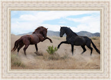 Load image into Gallery viewer, War Dance